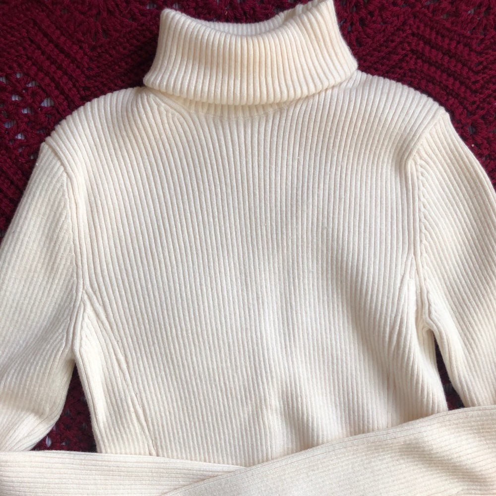 Comfy Zara Turtleneck